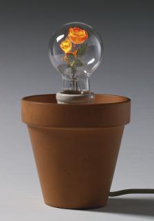 Dan Flavin - Barbara Roses