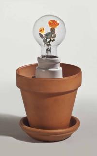 Dan Flavin - Barbara Roses