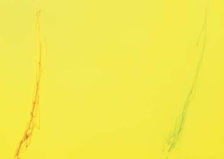 Dan Flavin - For Janette O