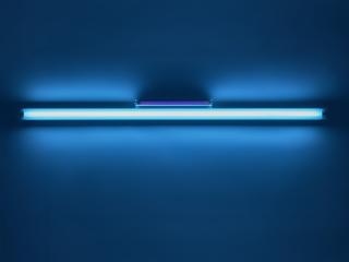 Dan Flavin - untitled (for Charlotte and Jim Brooks) 6