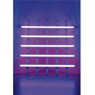 Dan Flavin - Untitled (To S.A. Lovingly)