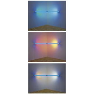 Dan Flavin - Untitled