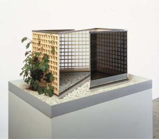 Dan Graham - Empty Shoji Screen Pergola/Two-Way Mirror Container