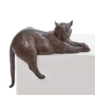 Dan Ostermiller - Marcella