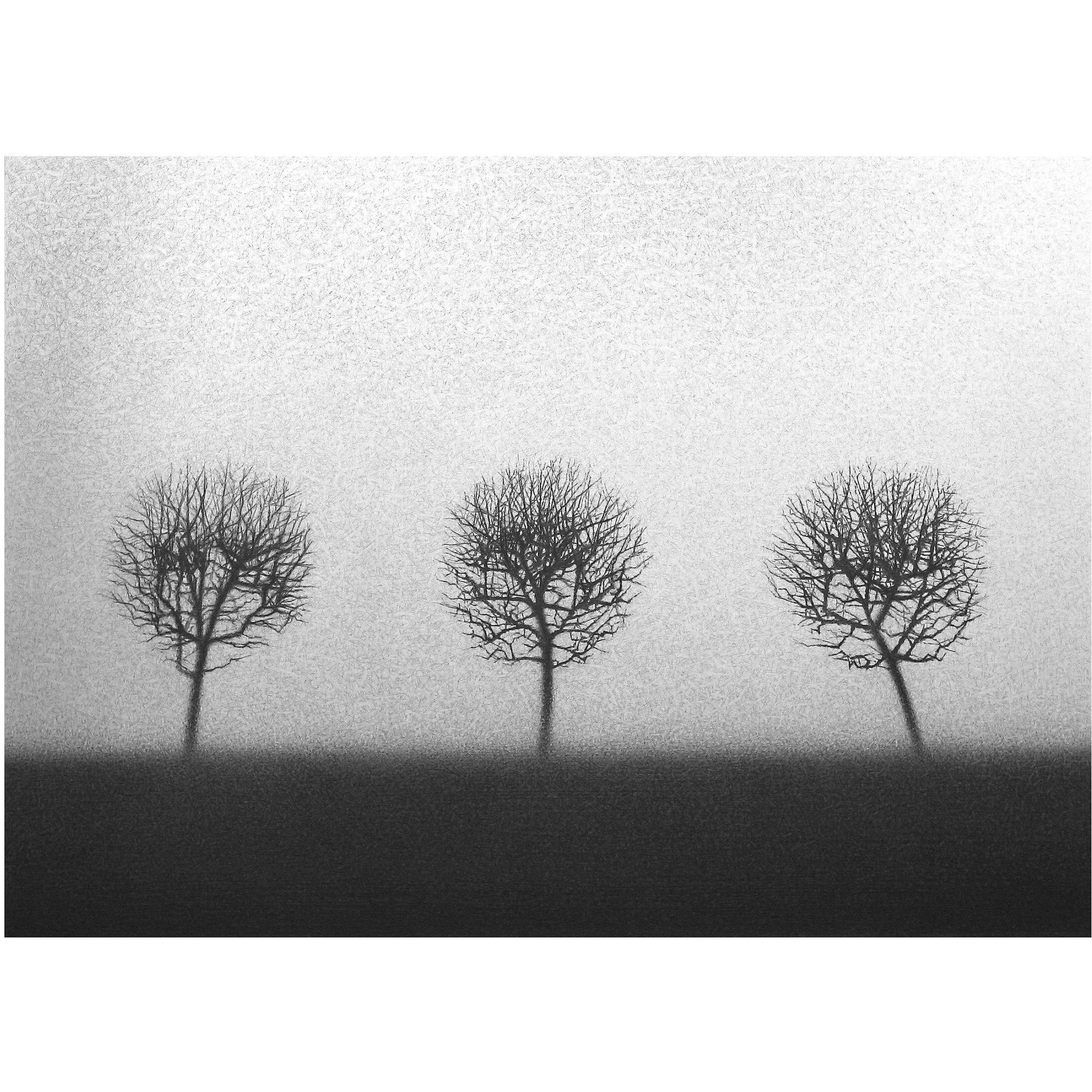 Dania Akulin - Three Trees