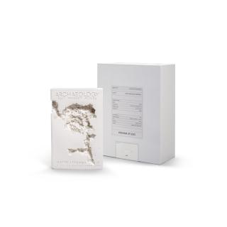 Daniel Arsham - Fictional Nonfiction: Archaeology, 2019