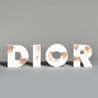 Daniel Arsham - Future Relic D.I.O.R.