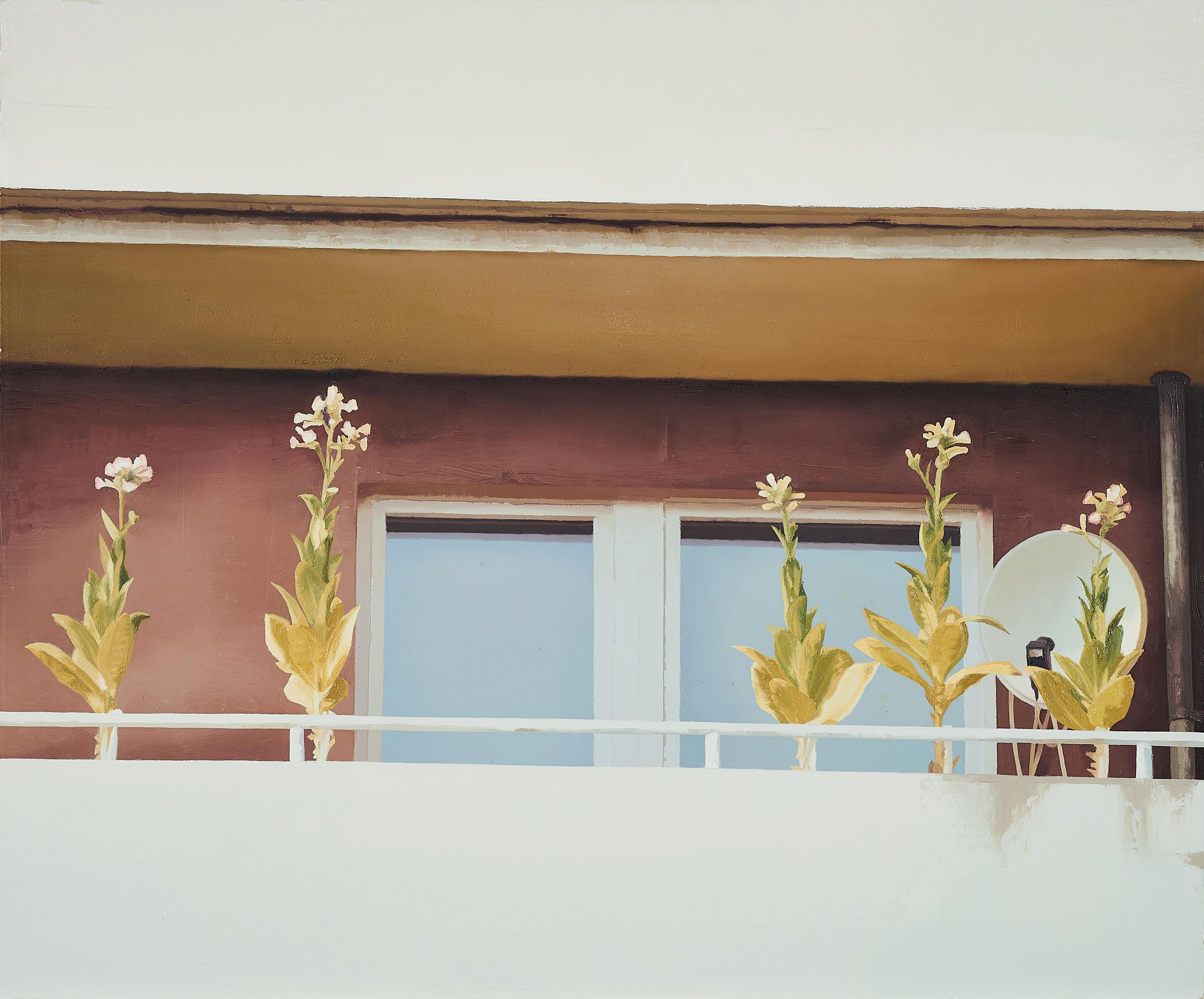 Daniel Behrendt - Tobacco.