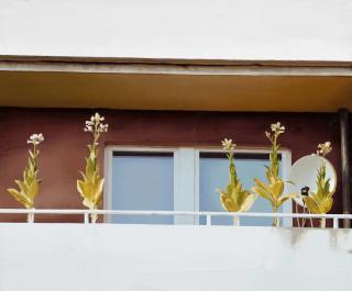 Daniel Behrendt - Tobacco