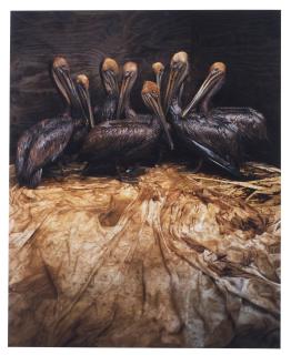 Daniel Beltrá - Oil Spill #20, Gulf of Mexico, 2010