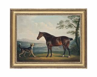 Daniel Clowes - A Horse And A Hound In A Wooded Landscape