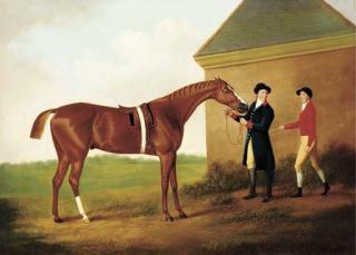 Daniel Clowes - Eclipse, with jockey and groom