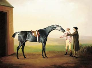 Daniel Clowes - Racehorse with jockey and groom