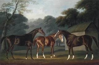 Daniel Clowes - Three hunters in a landscape