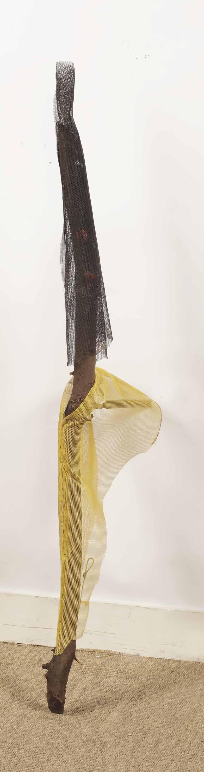 Daniel Dezeuze - Objets De Cueillette