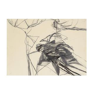 Daniel Dezeuze - Sans titre Série Lascaux