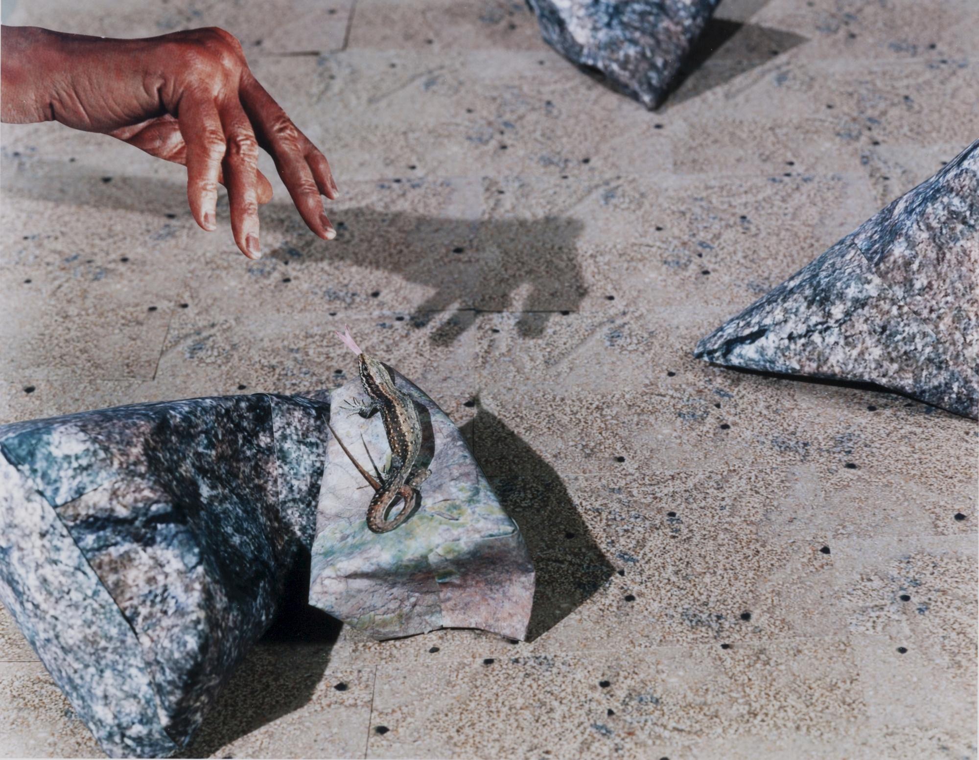 Daniel Gordon - Lizard Tongue