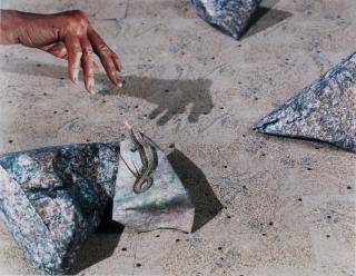 Daniel Gordon - Lizard Tongue