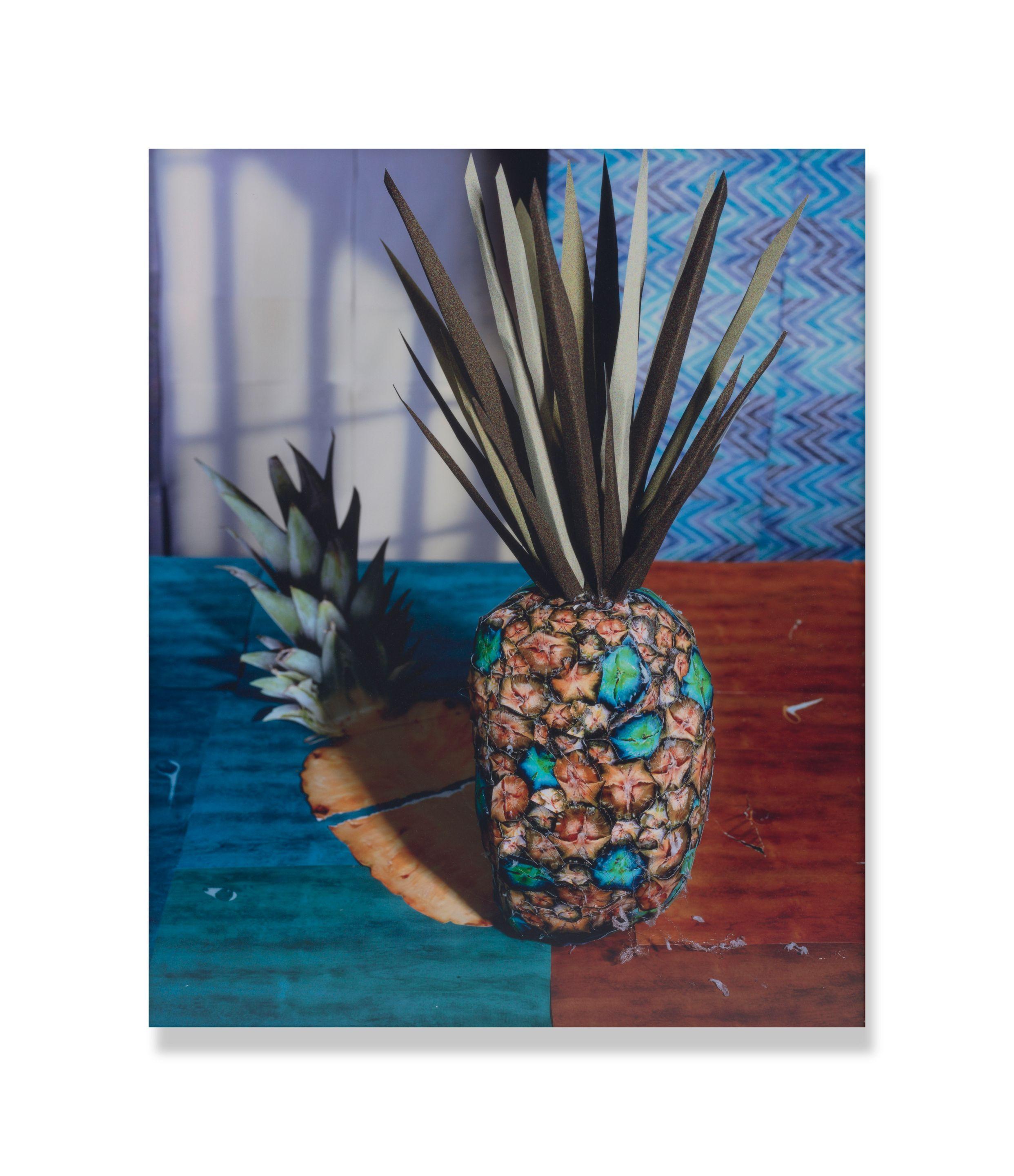 Daniel Gordon - Pineapple and Shadow
