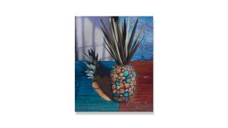 Daniel Gordon - Pineapple and Shadow