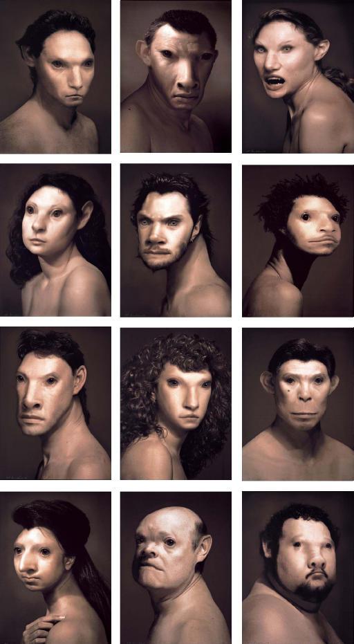 Daniel Lee - Manimals Set