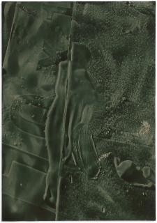 Daniel Lefcourt - Cast