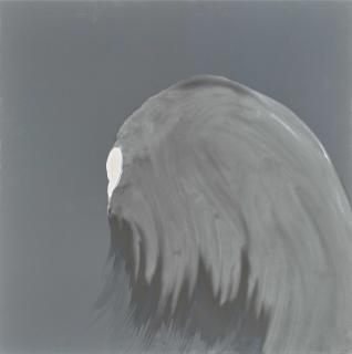 Daniel Lergon - Ohne Titel.