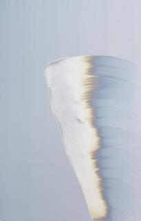 Daniel Lergon - Ohne Titel