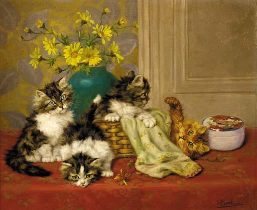 Daniel Merlin - Kittens at play