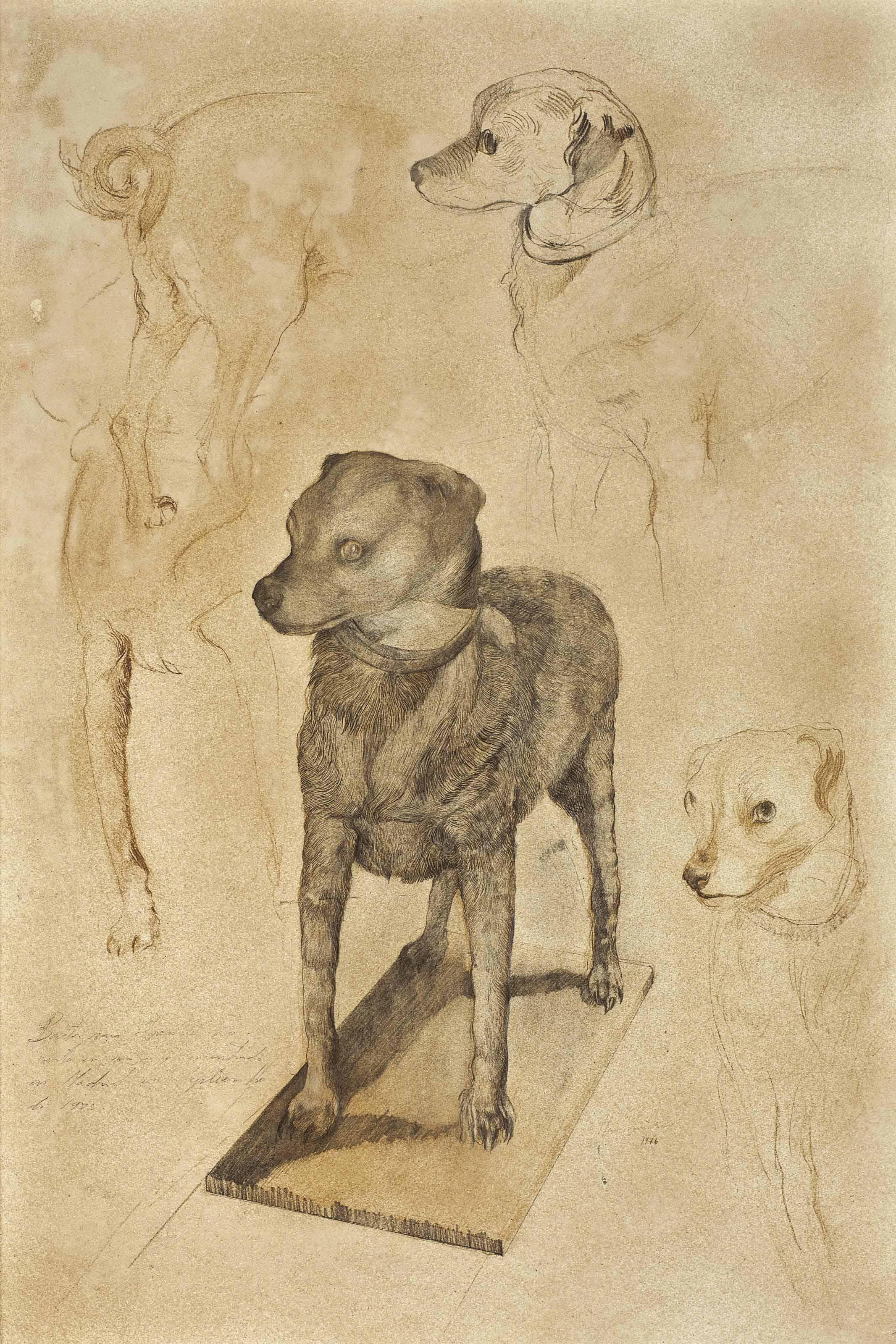 Daniel Quintero - Drawings of the Stuffed Dog