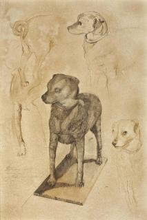 Daniel Quintero - Drawings of the Stuffed Dog