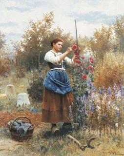Daniel Ridgway Knight - Tying up the Hollyhocks
