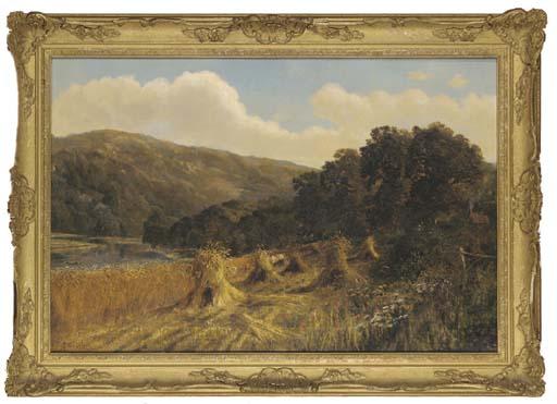 Daniel Sherrin - A fruitful harvest