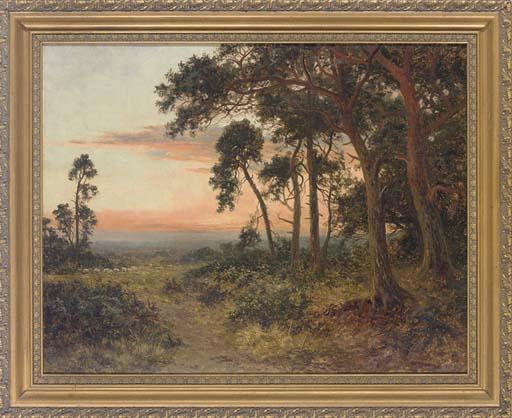 Daniel Sherrin - Sunset