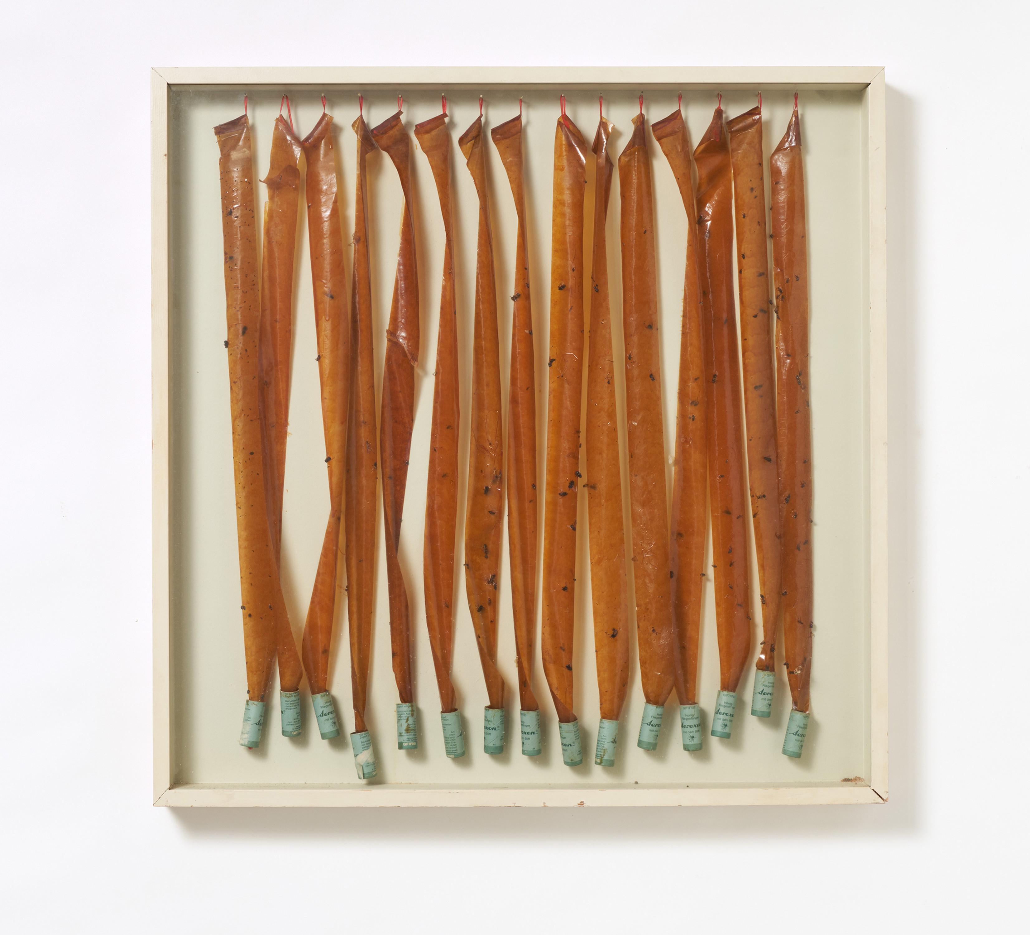 Daniel Spoerri - Fliegenfalle.