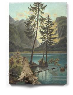 Daniel Spoerri - Le Lac Interdit, 1998