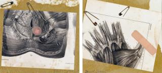 Daniel Spoerri - Lotto di 2 opere: a) Senza titolo    firmato Daniel Spoerri (in basso a destra)    collage su cartoncino    cm 19x21 b) Senza titolo    firmato Daniel Spoerri (in basso a sinistra)    collage su cartoncino    cm 19x21    Provenienza:    Dante Vecchia