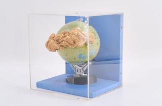 Daniel Spoerri - Mondbeben.