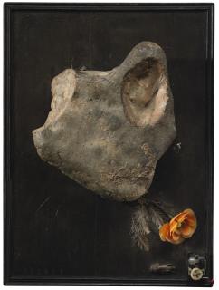 Daniel Spoerri - Senza Titolomixed Tecnique On Board. Executed In 1970. This Work Is Accompanied By A Photo-Certificate Signed On The 20Th October 2007 By Daniel Spoerri.