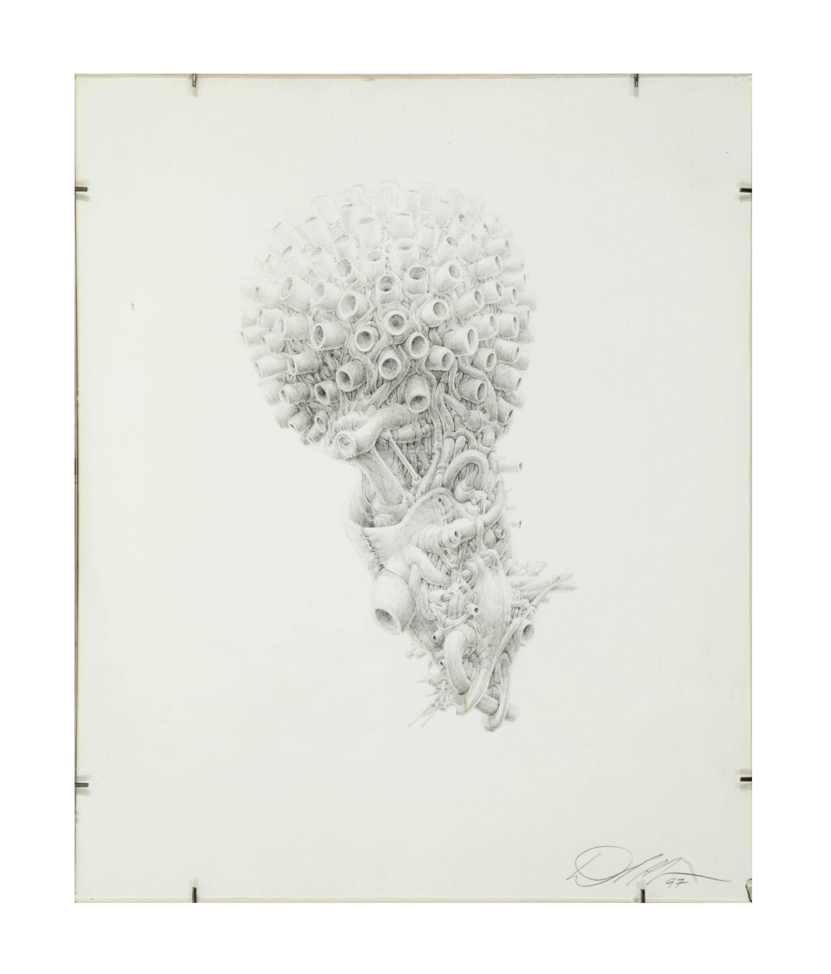 Daniel Zeller - Nexus