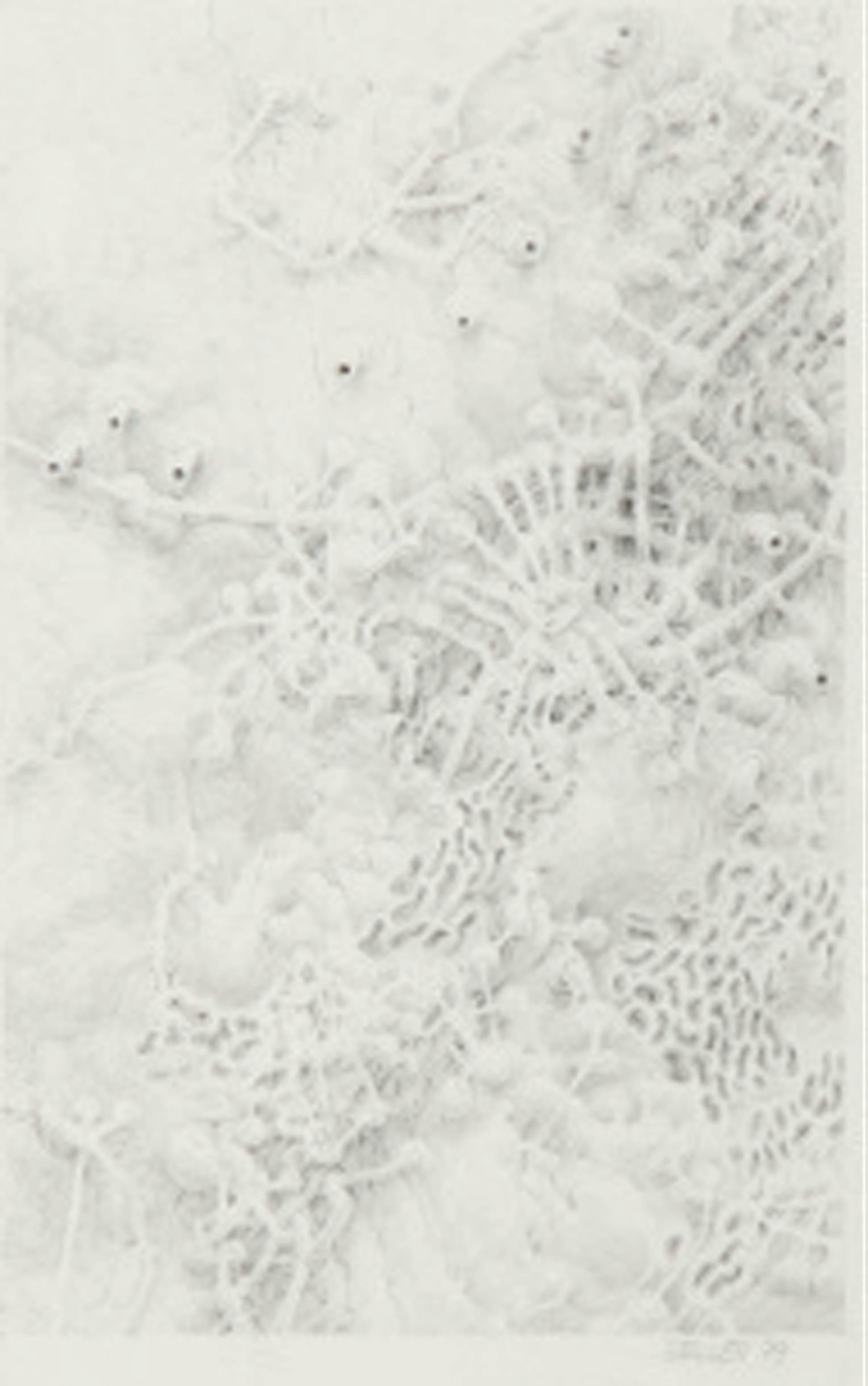 Daniel Zeller - Untitled