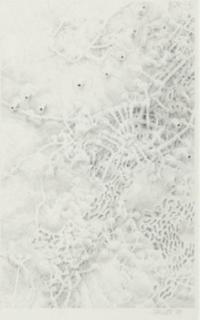 Daniel Zeller - Untitled