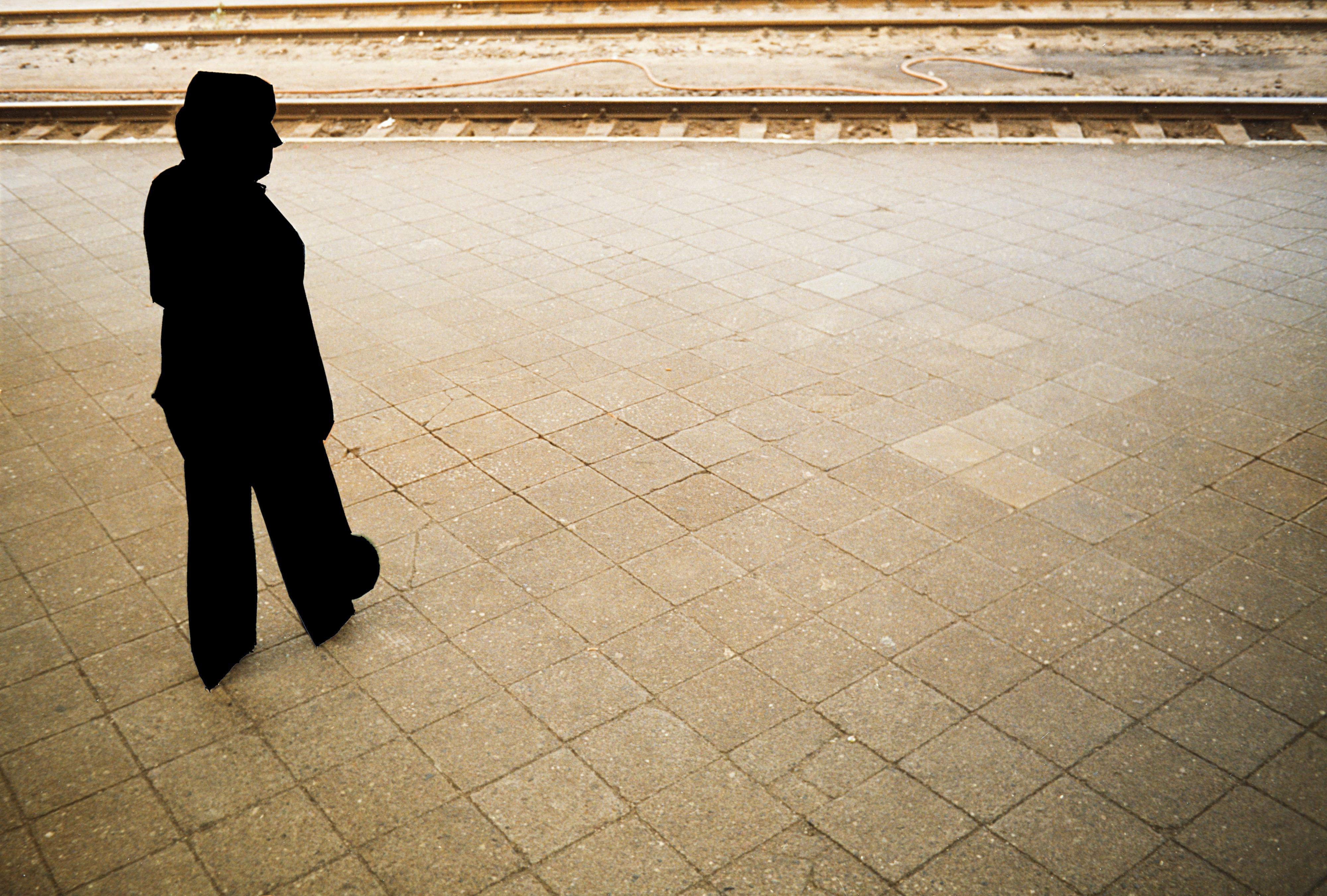 Daniela Comani - Assenze 1966