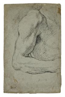 Daniele Crespi - Study of an arm (recto); Anatomical studies (verso)