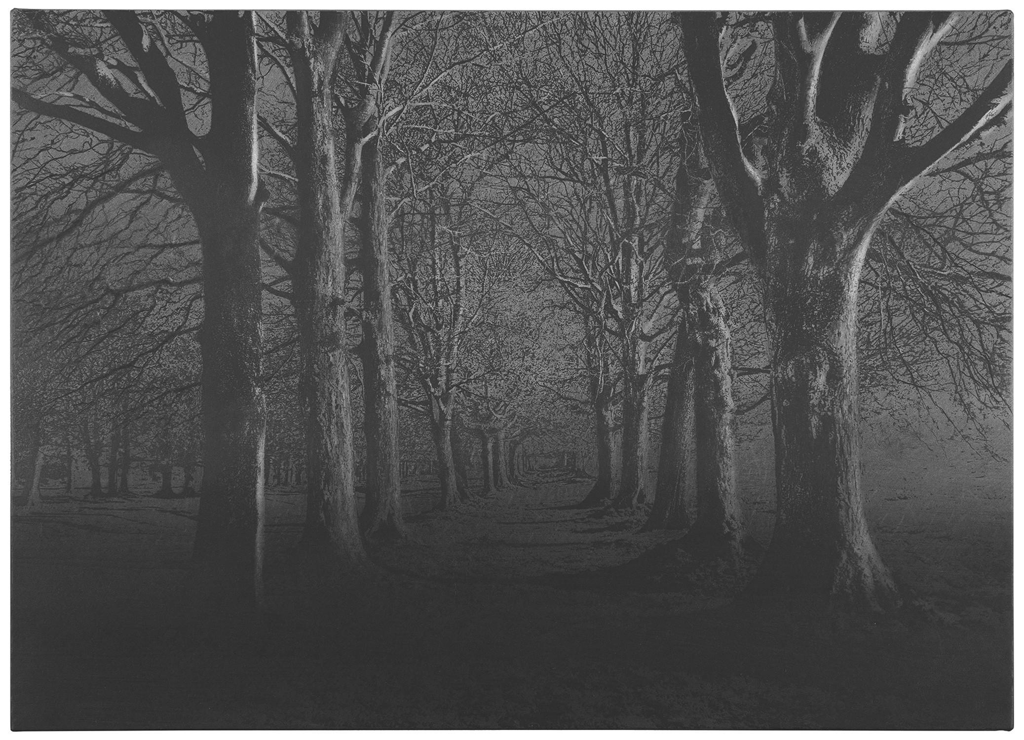 Danja Akulin - Ohne Titel