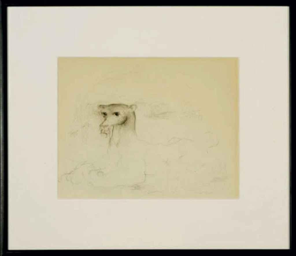 Darrel Austin - Catamount in Landscape