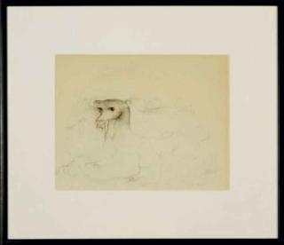 Darrel Austin - Catamount in Landscape