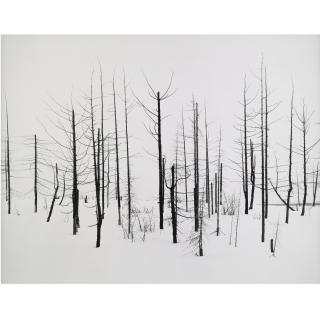 Darren Almond - 69Th Parallel 2