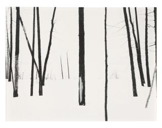 Darren Almond - 69th Parallel 4