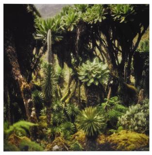 Darren Almond - Fullmoon@Bujuku